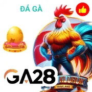 mksport Game 03